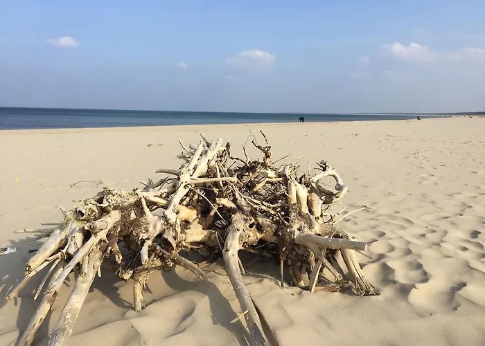 公寓 Bajkowa Plaza - Muszelka