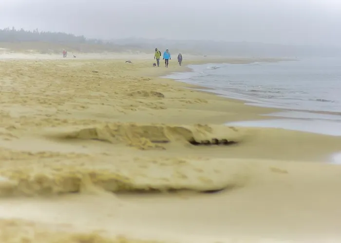 Bajkowa Plaza - Muszelka 格但斯克