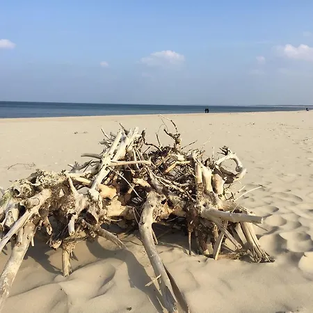 Appartement Bajkowa Plaza - Muszelka