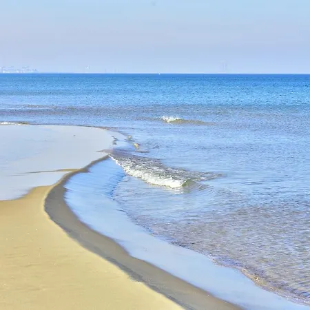 Bajkowa Plaza - Muszelka