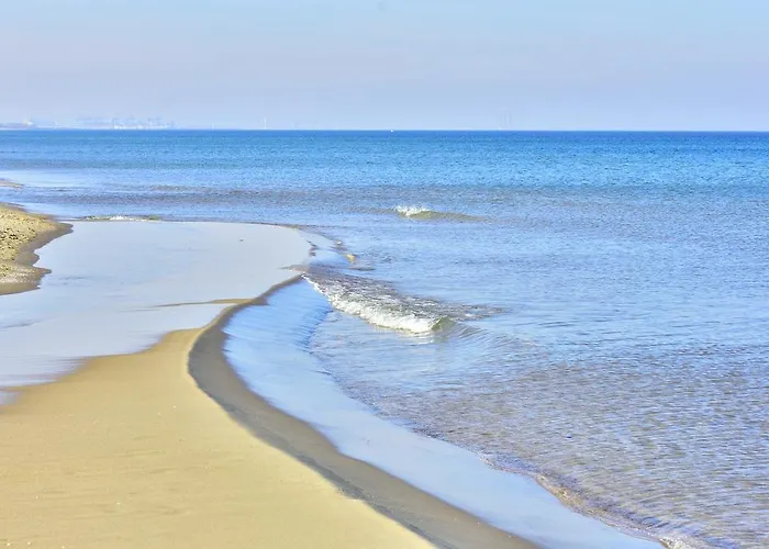 Bajkowa Plaza - Muszelka