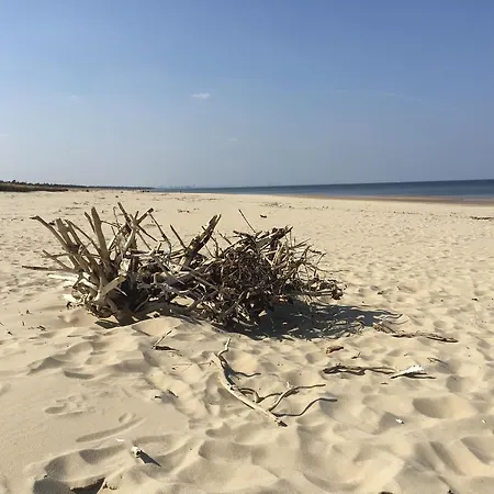 Bajkowa Plaza - Muszelka Апартаменты *